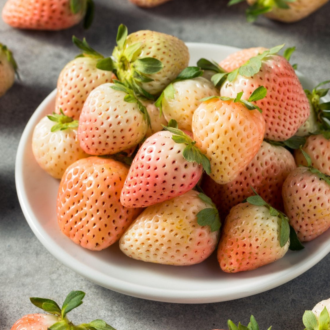 Flamingo Strawberry