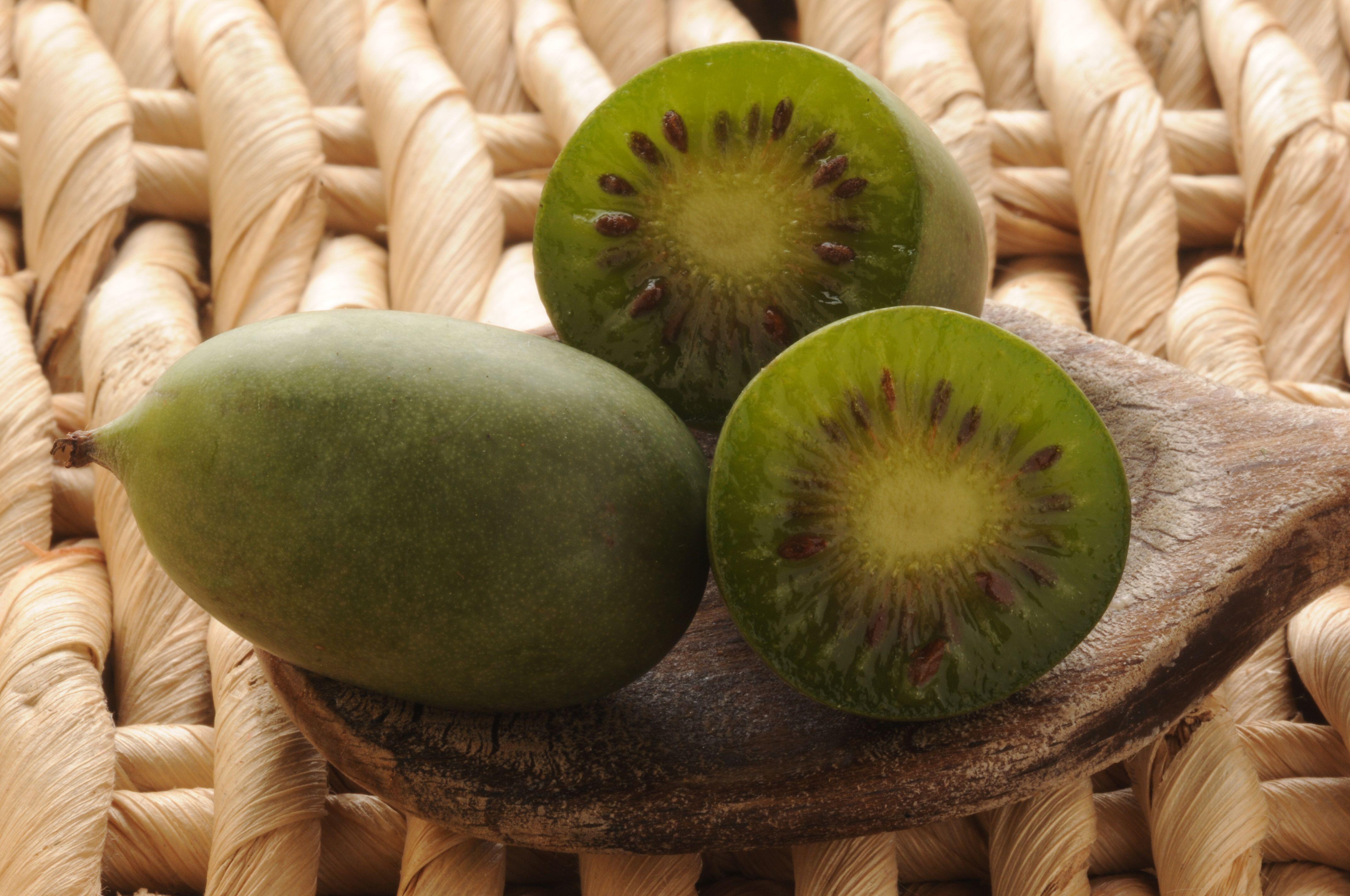 Geneva 3 Hardy Kiwi