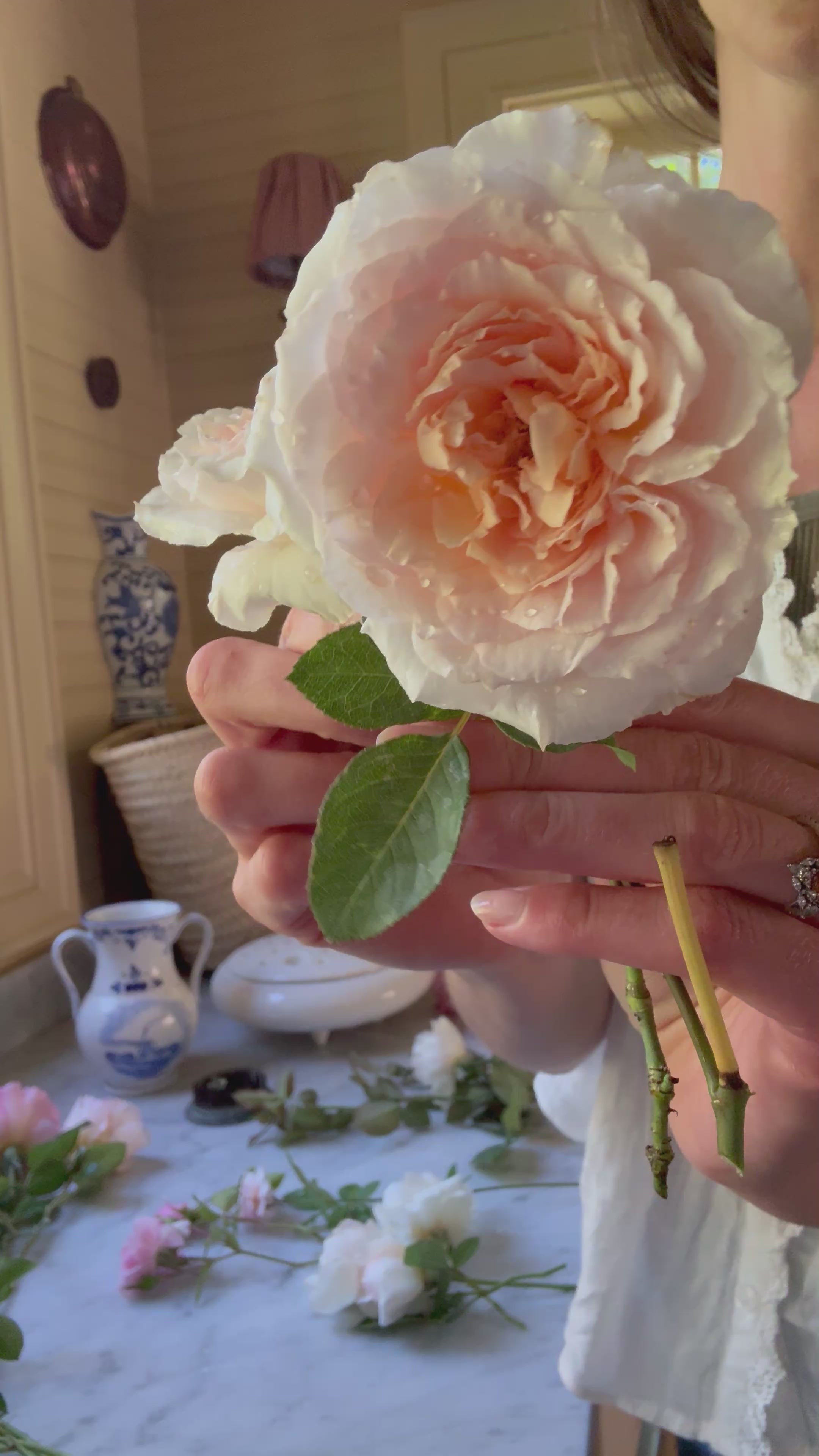 Parfuma® Bliss Rose