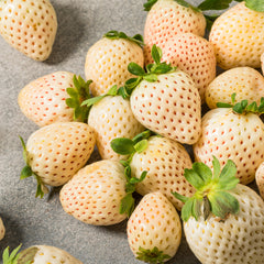 Alpine Strawberry Seeds White Strawberry Seeds  300+ Pineberry Seeds   Grown In USA, Great For Gardens & Containers Organic Strawberry Seeds