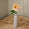 'Honey Dijon' Rose (Bare Root)
