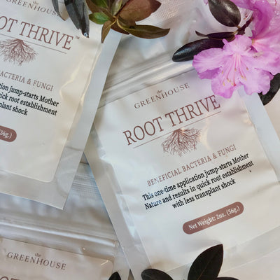 Root Thrive Fertilizer